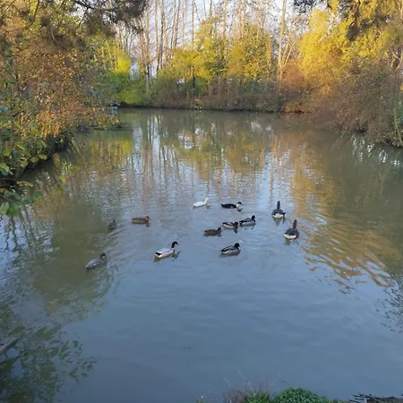 Partout L'etang En Der Vakantiehuis *