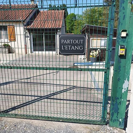 Partout L'etang En Der